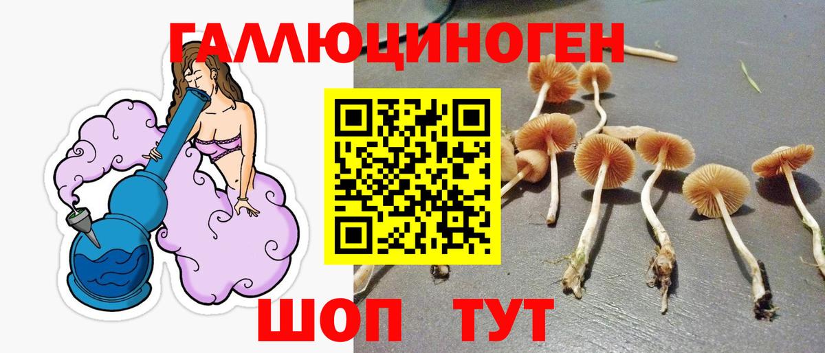 Галлюциногенные грибы мухоморы Чапаевск