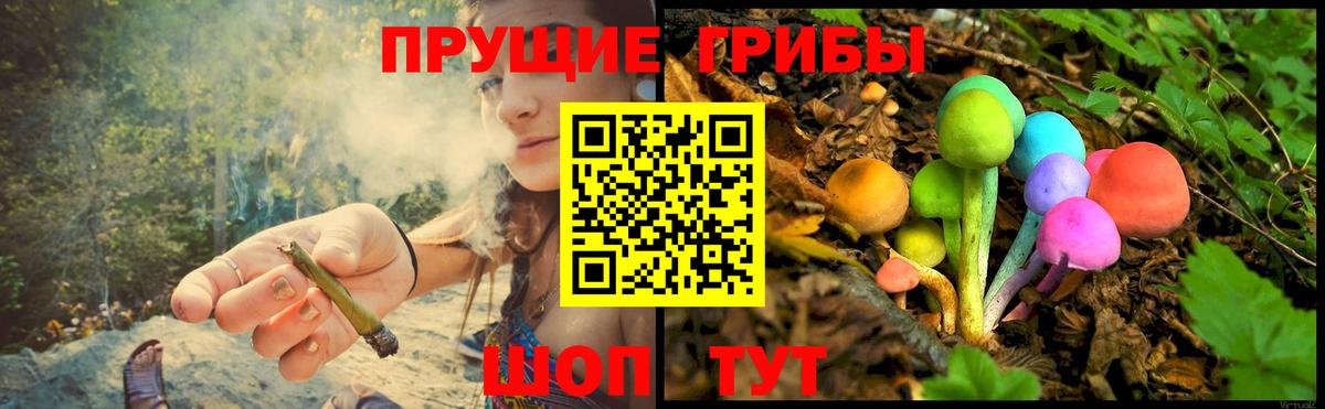 Псилоцибиновые грибы Cubensis  наркошоп  Чапаевск  Галлюциногенные грибы ЛСД  Вход с VPN 